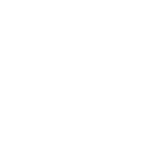 Layer 1